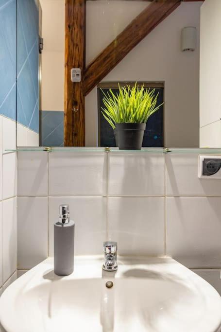 Apartment Pauza 3 Bedroom Apartment! Old Town