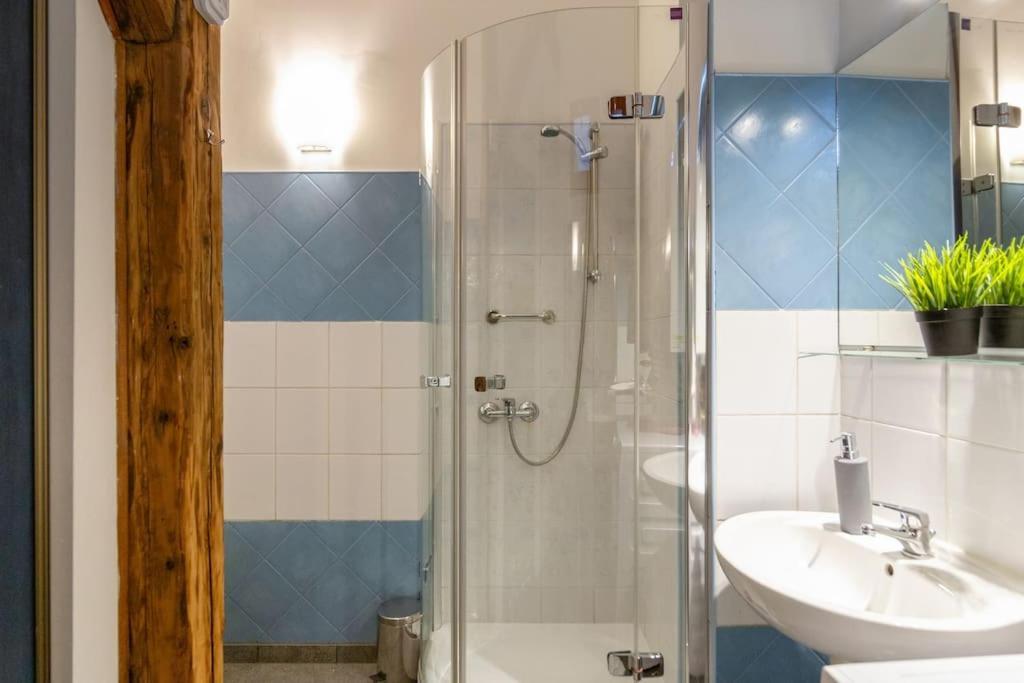 Apartment Pauza 3 Bedroom Apartment! Old Town